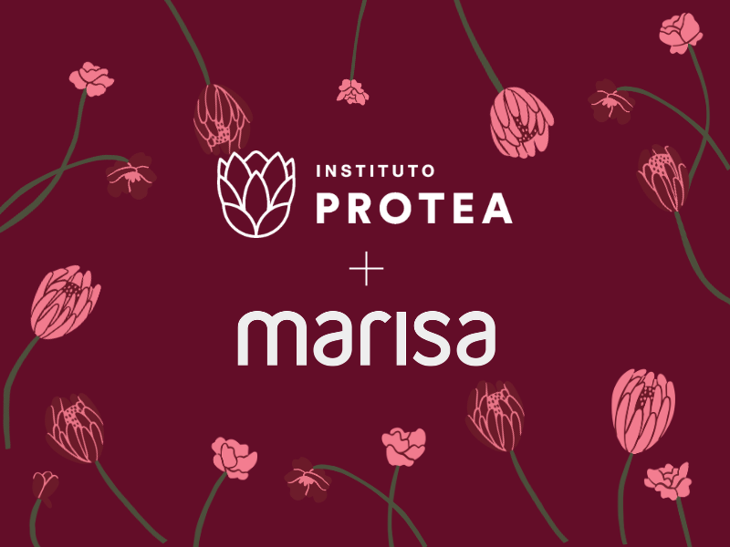 Campanha de Outubro Rosa: Marisa + Instituto Protea